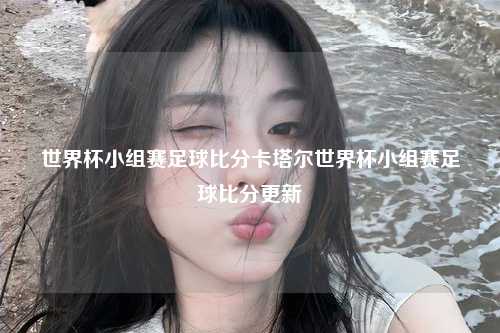 世界杯小组赛足球比分卡塔尔世界杯小组赛足球比分更新